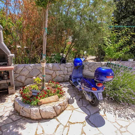 Erika * Rogoznica (Sibenik-Knin)